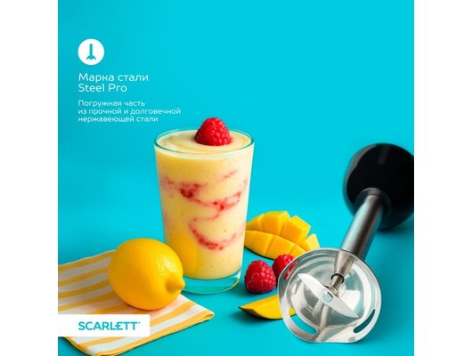 Блендер Scarlett SC-HB42M47